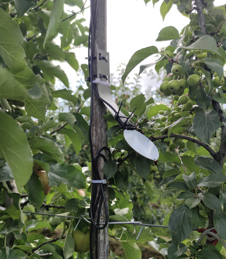 xLeaf